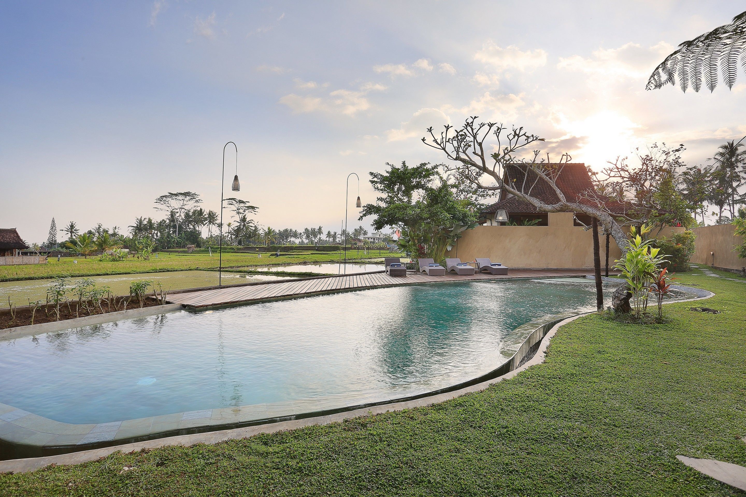 A swimming pool with a wooden deck, surrounded by well-maintained grass and palm trees.