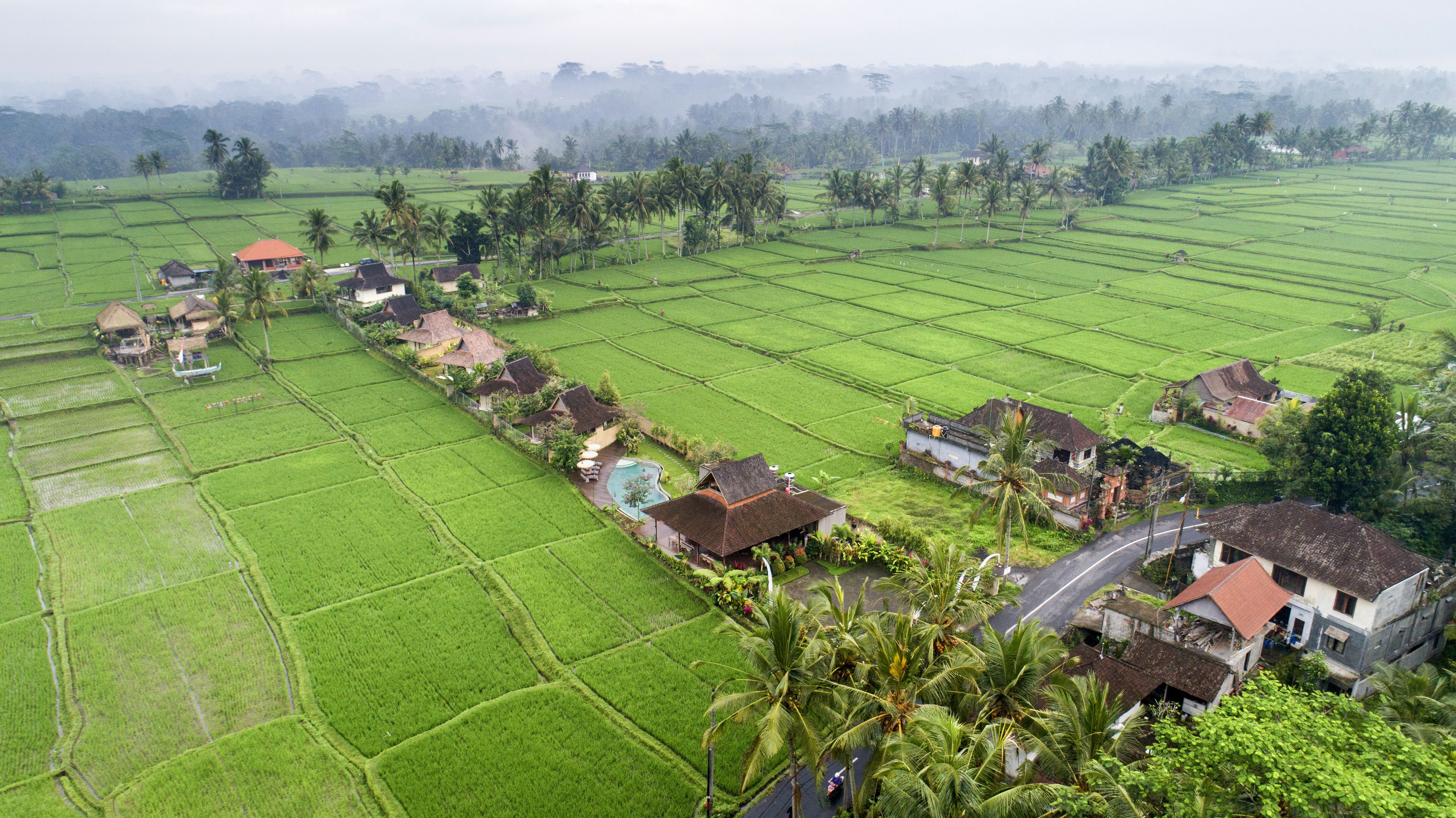 A rural landscape with terraced fields and traditional houses with thatched roofs.