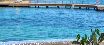 야즈 야릭아바크