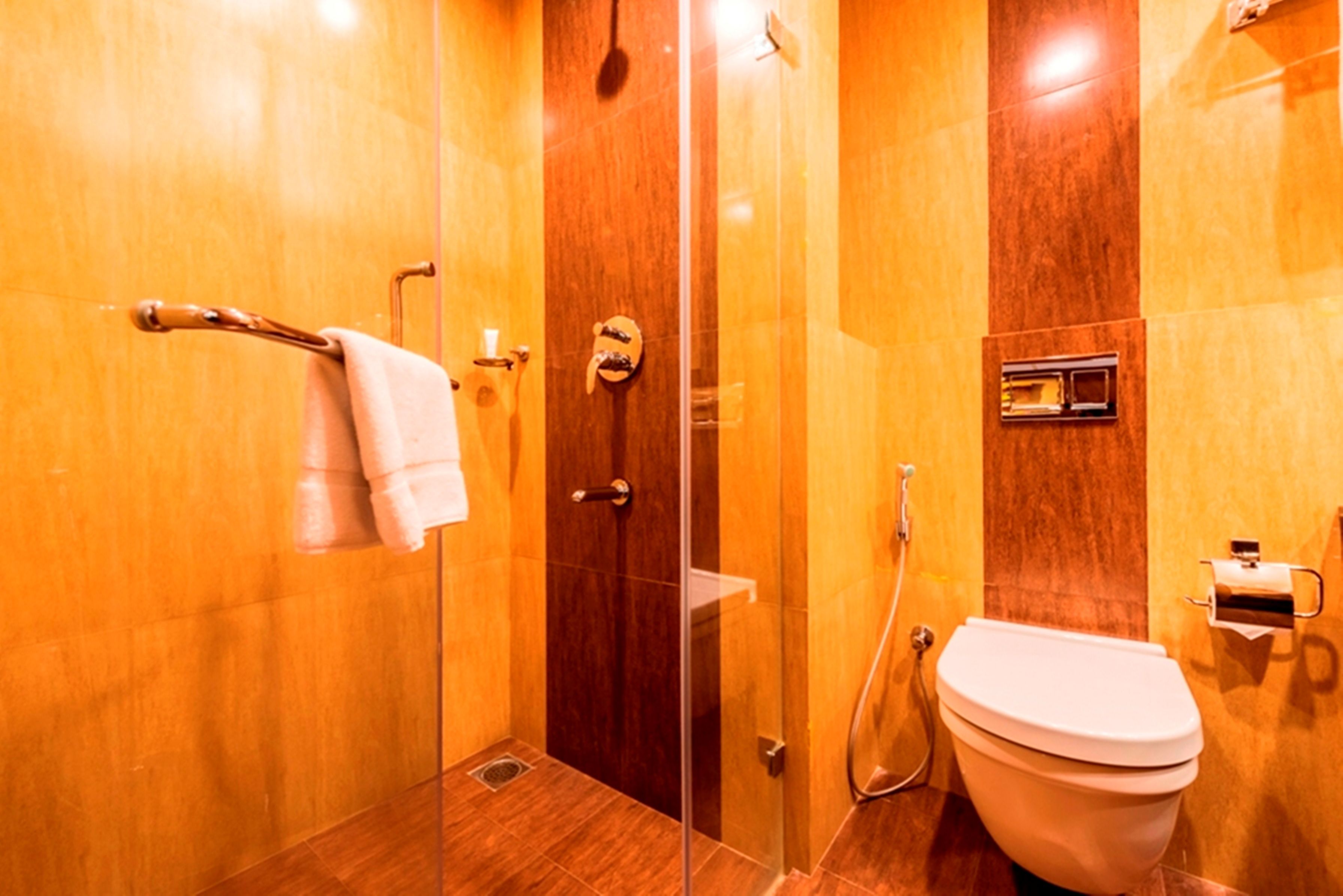 shower, free toiletries, hair dryer, towels