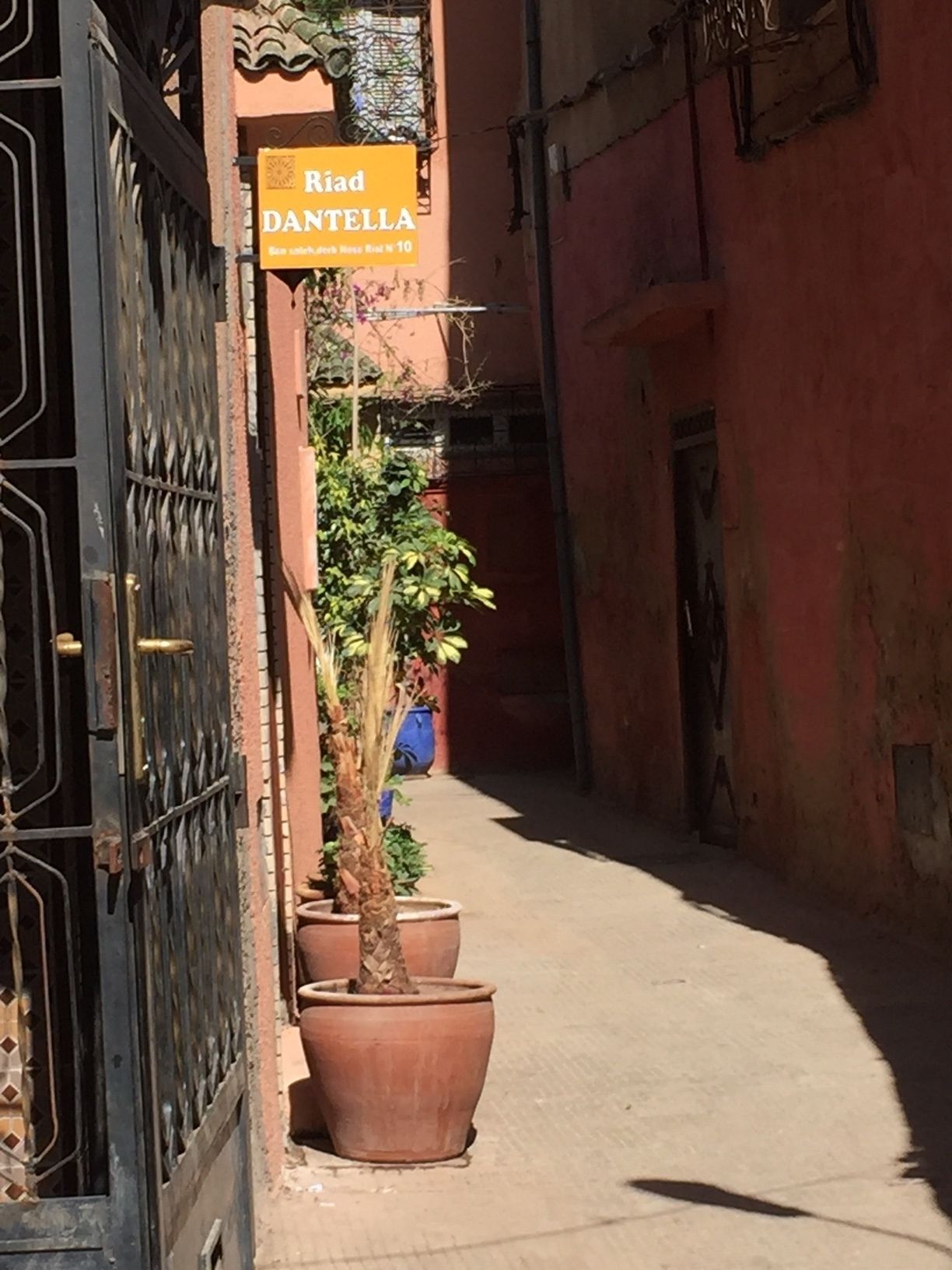 Foto - Riad Dantella