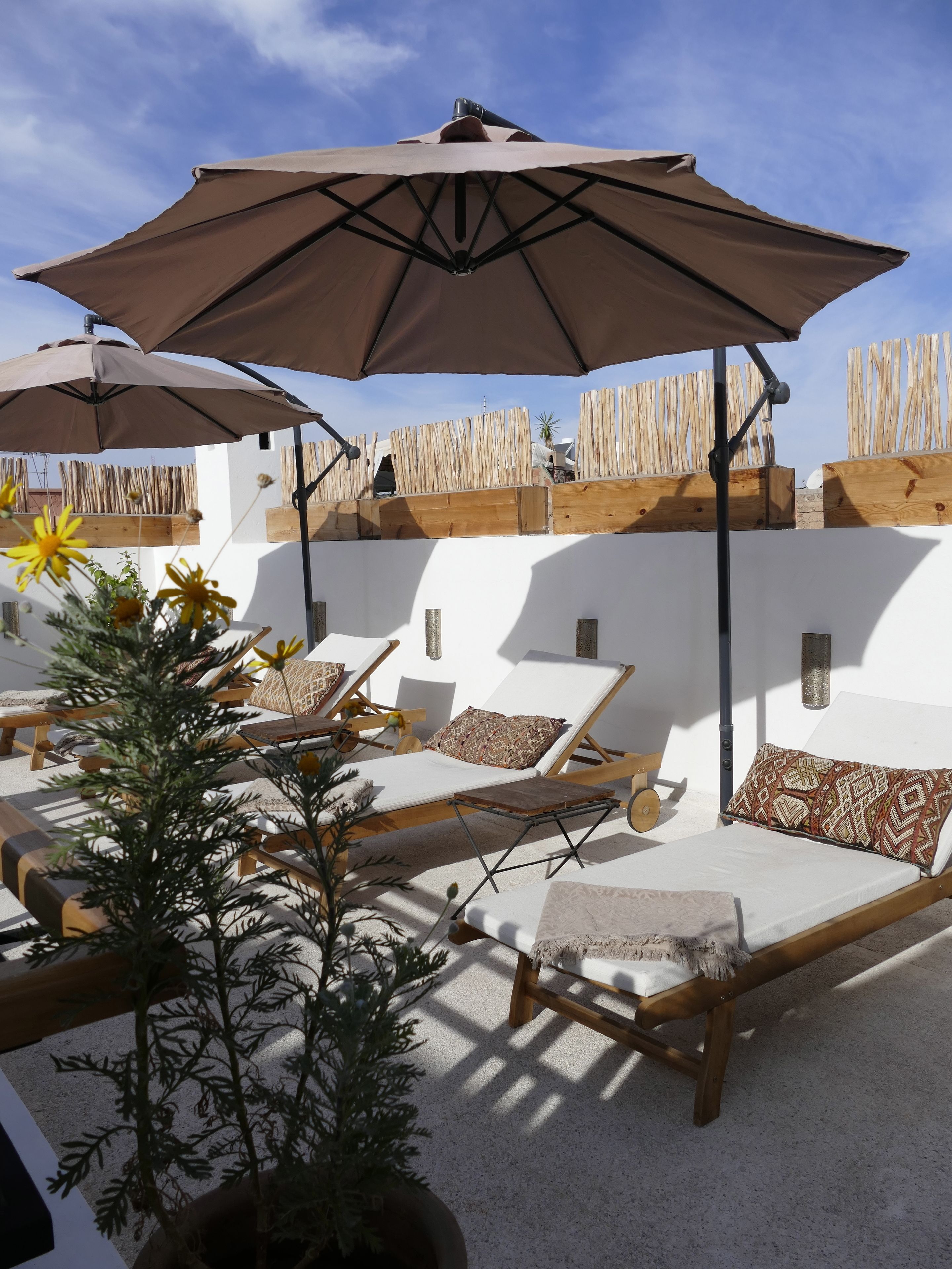 Foto - Riad Zebrakaro