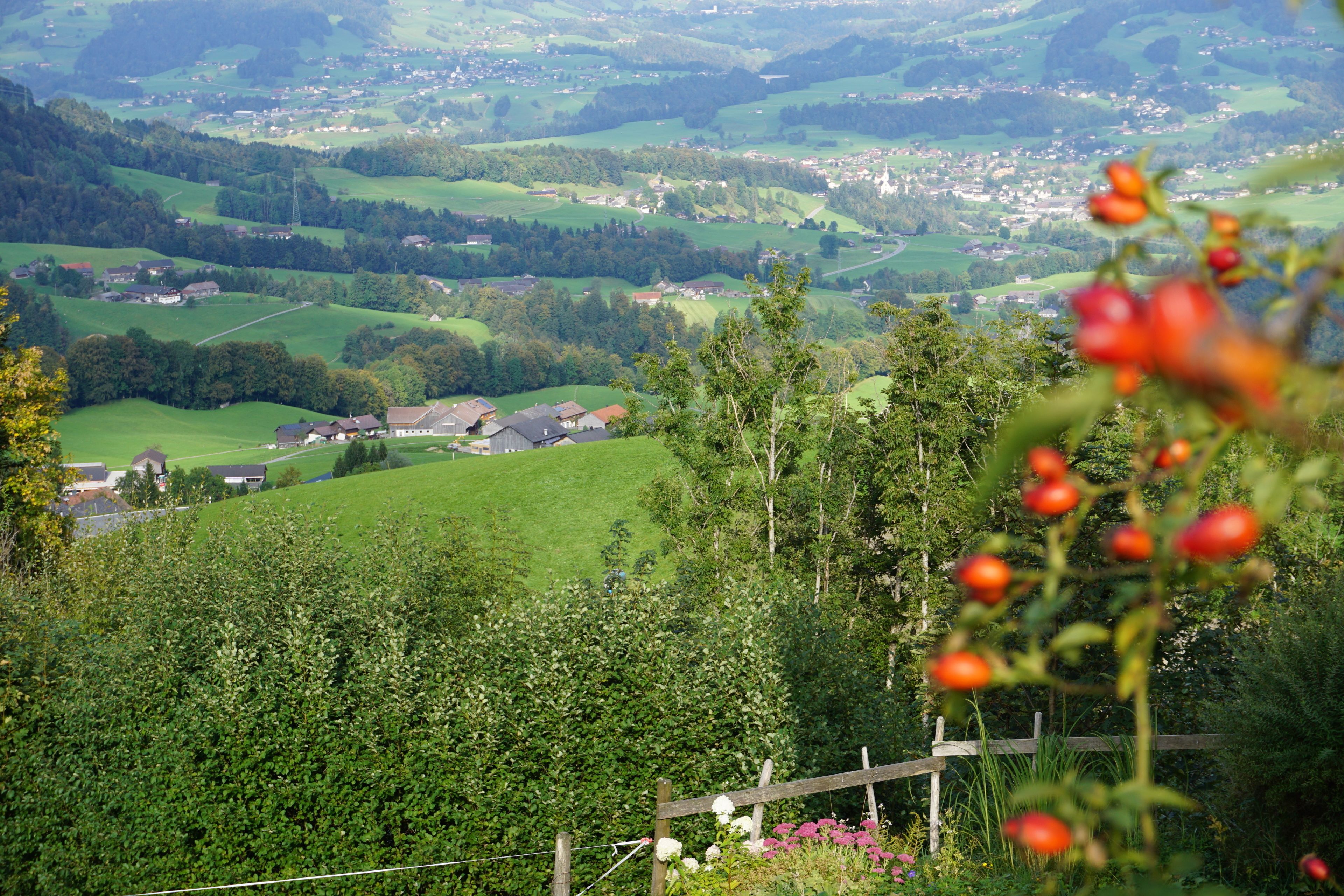 Mountain view