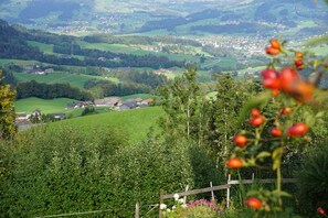 Mountain view - Blockhaus Metzler (Schwarzenberg)