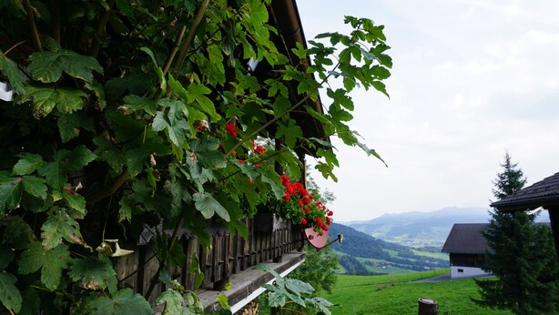 Mountain view - Blockhaus Metzler (Schwarzenberg)