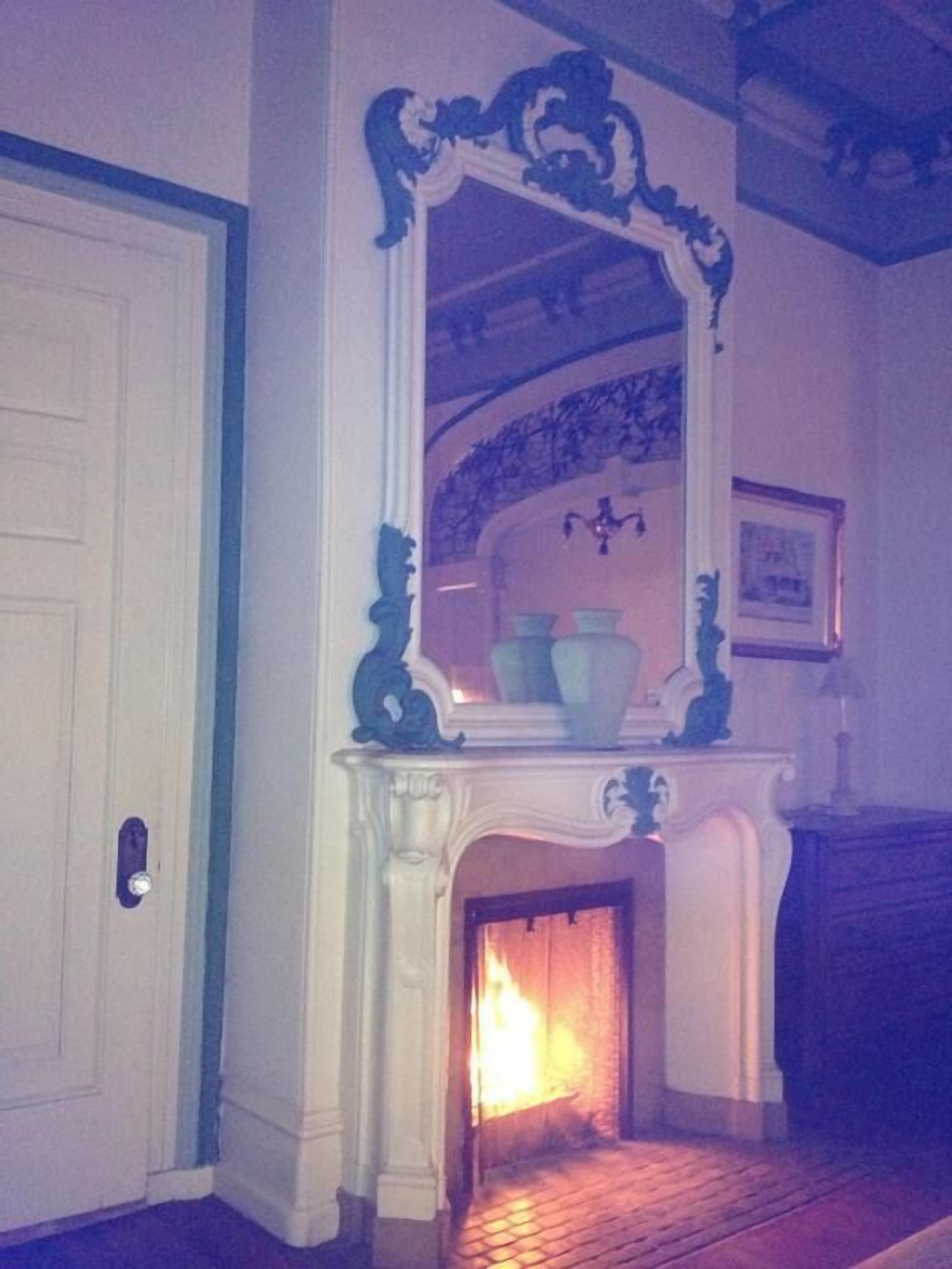 A room with a fireplace, a door, and a mirror with ornate designs.