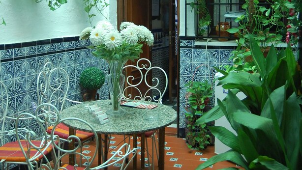 Terrace/patio - Pensión Trinidad (Córdoba)
