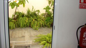 A room with a view of a green plant area and a fire extinguisher on the wall. - Hostal Platja (Cambrils)