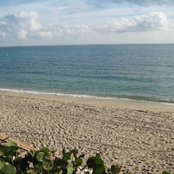 View from property