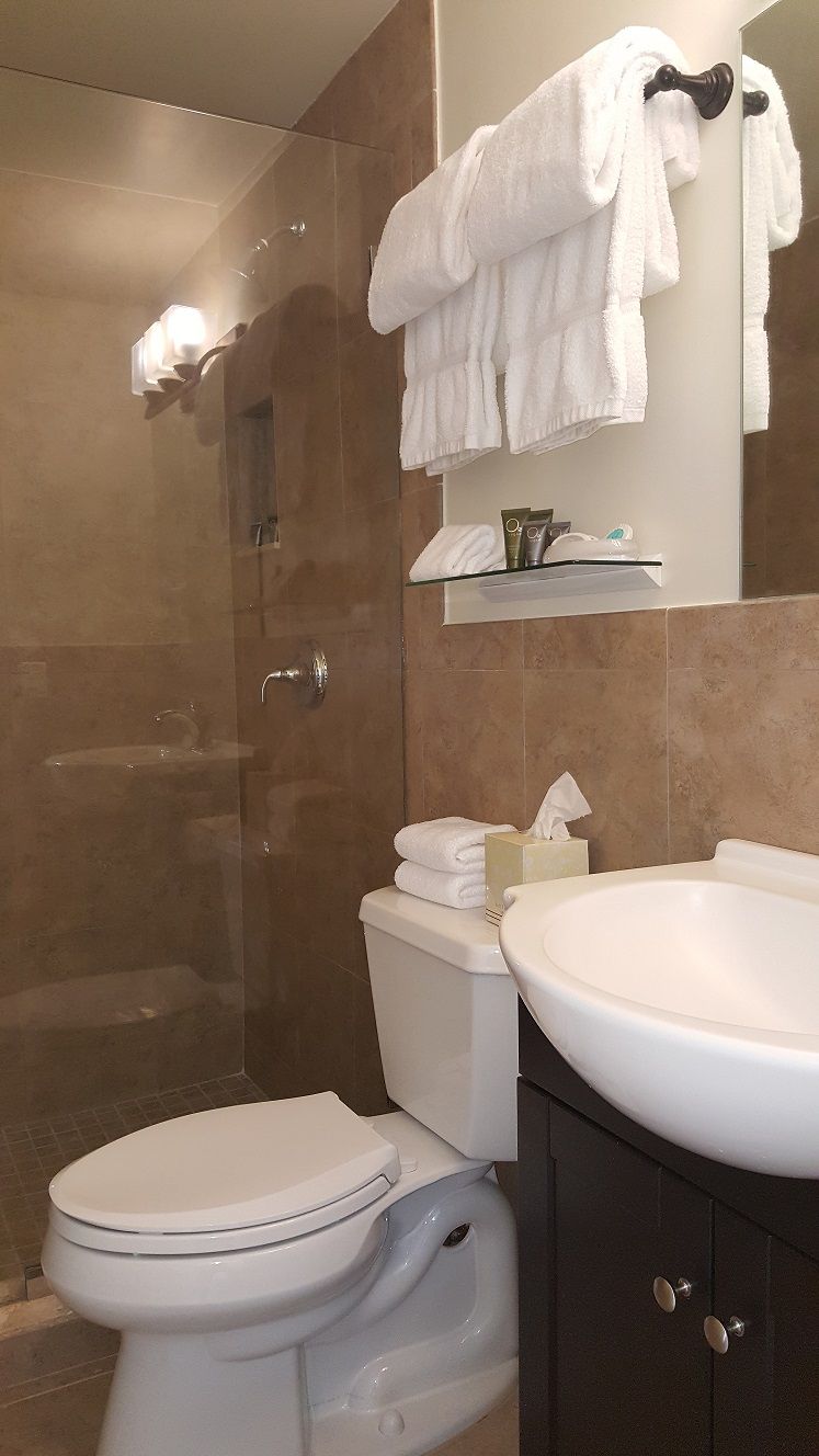 A bathroom with a glass-enclosed shower, a white toilet, a sink, and a mirror with a towel rack above.