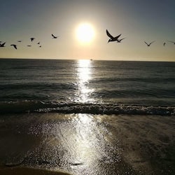 On the beach