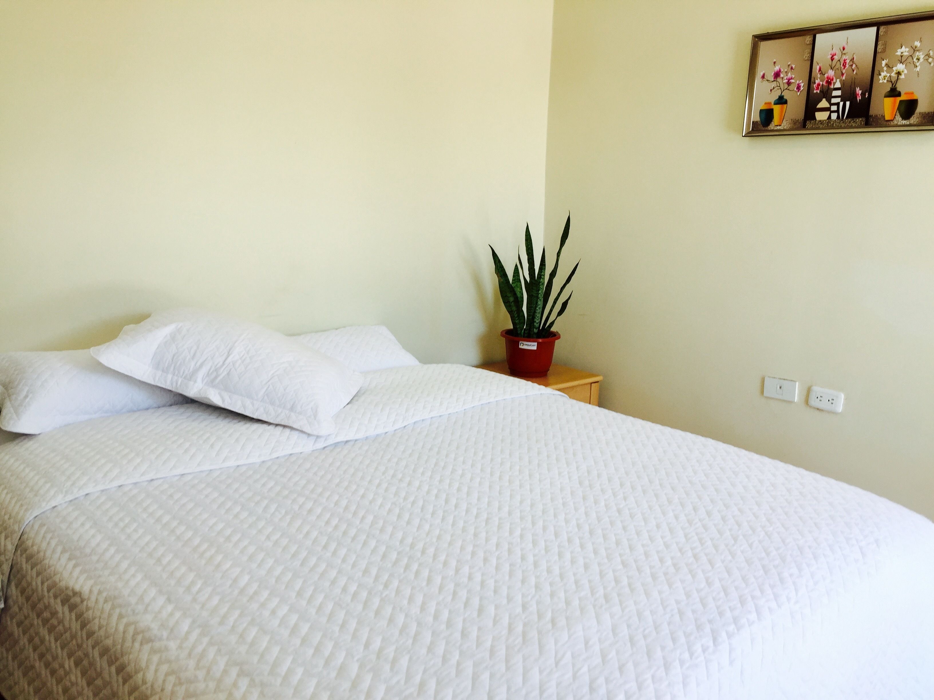 A neatly made bed with white bedding, a small potted plant on a bedside table, and a wall-mounted power outlet.
