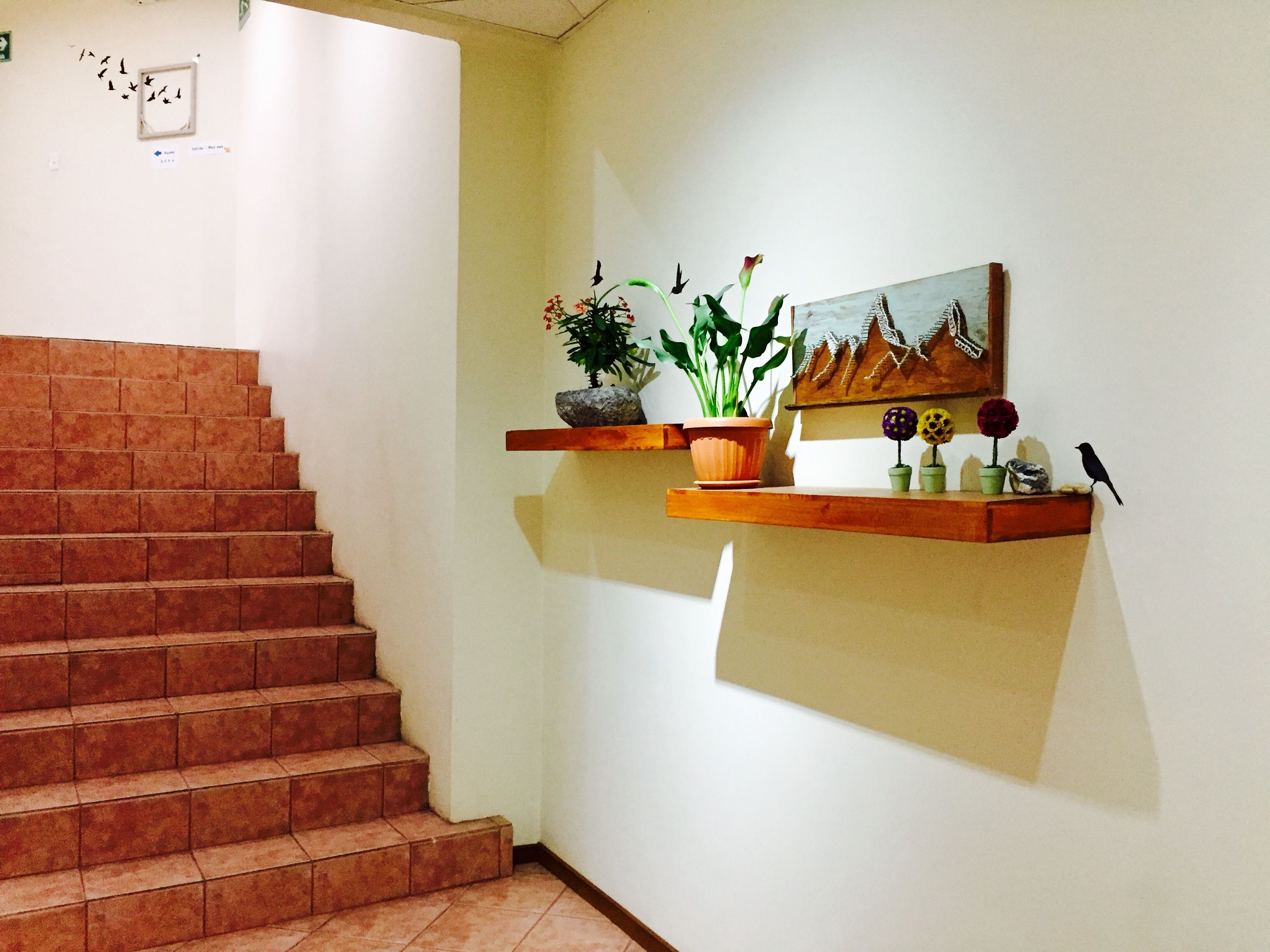 Foto - Quito Terrace