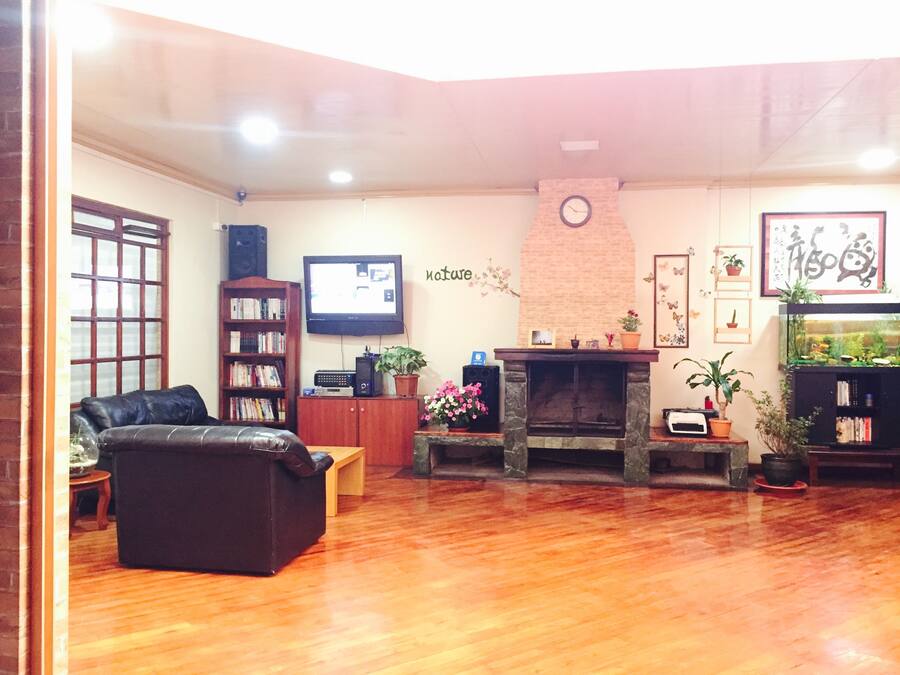 Una sala de estar con chimenea, televisor, estantería y sofá.