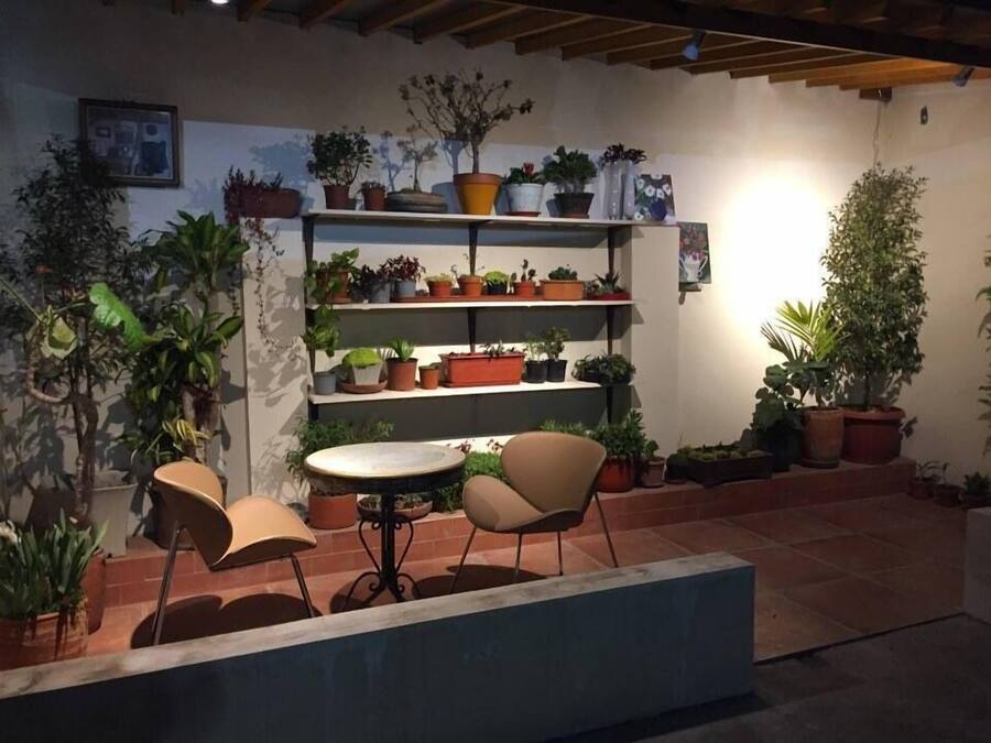 Un área de patio con una mesa redonda y dos sillas, rodeada de plantas en macetas y una estantería con diversas plantas.