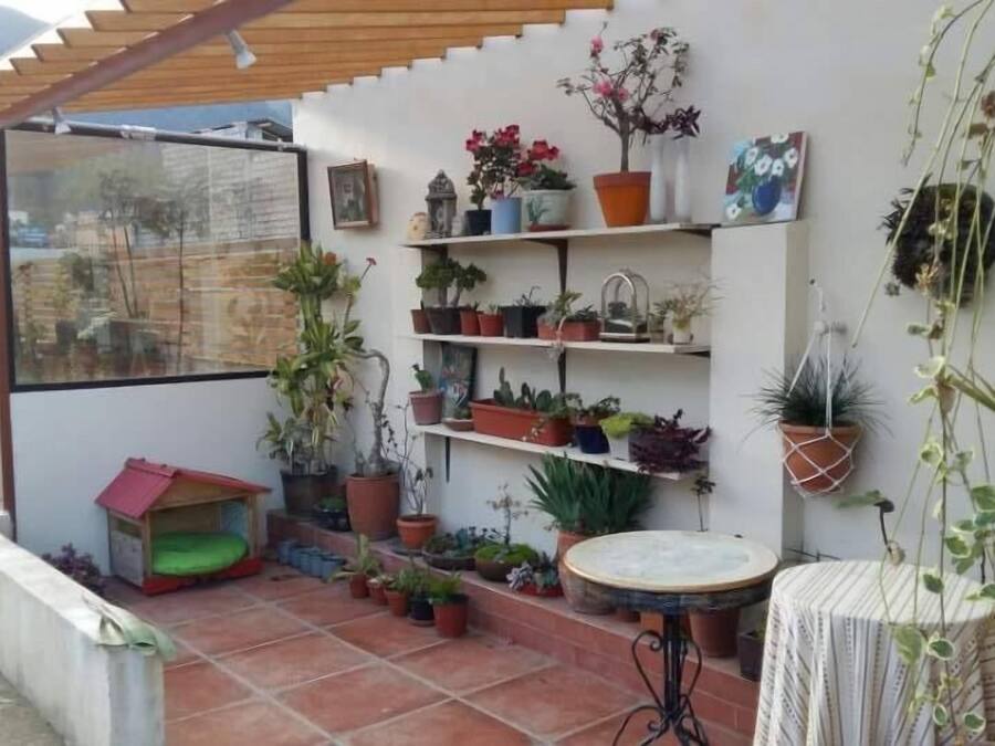 Un patio couvert agrémenté de plantes en pot, d’une petite maisonnette en bois et d’une table ronde.