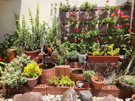 Jardín