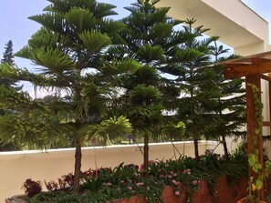 Garden - Hostel Quito Terrace (Quito)