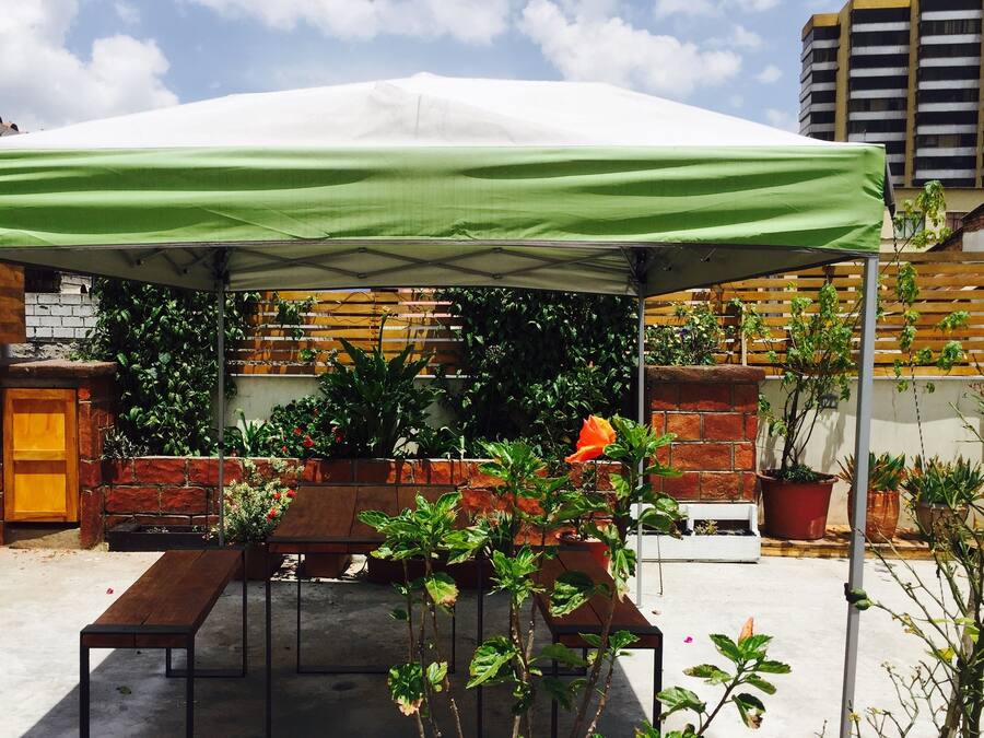 A covered outdoor seating area with tables and chairs, surrounded by potted plants and a brick wall.