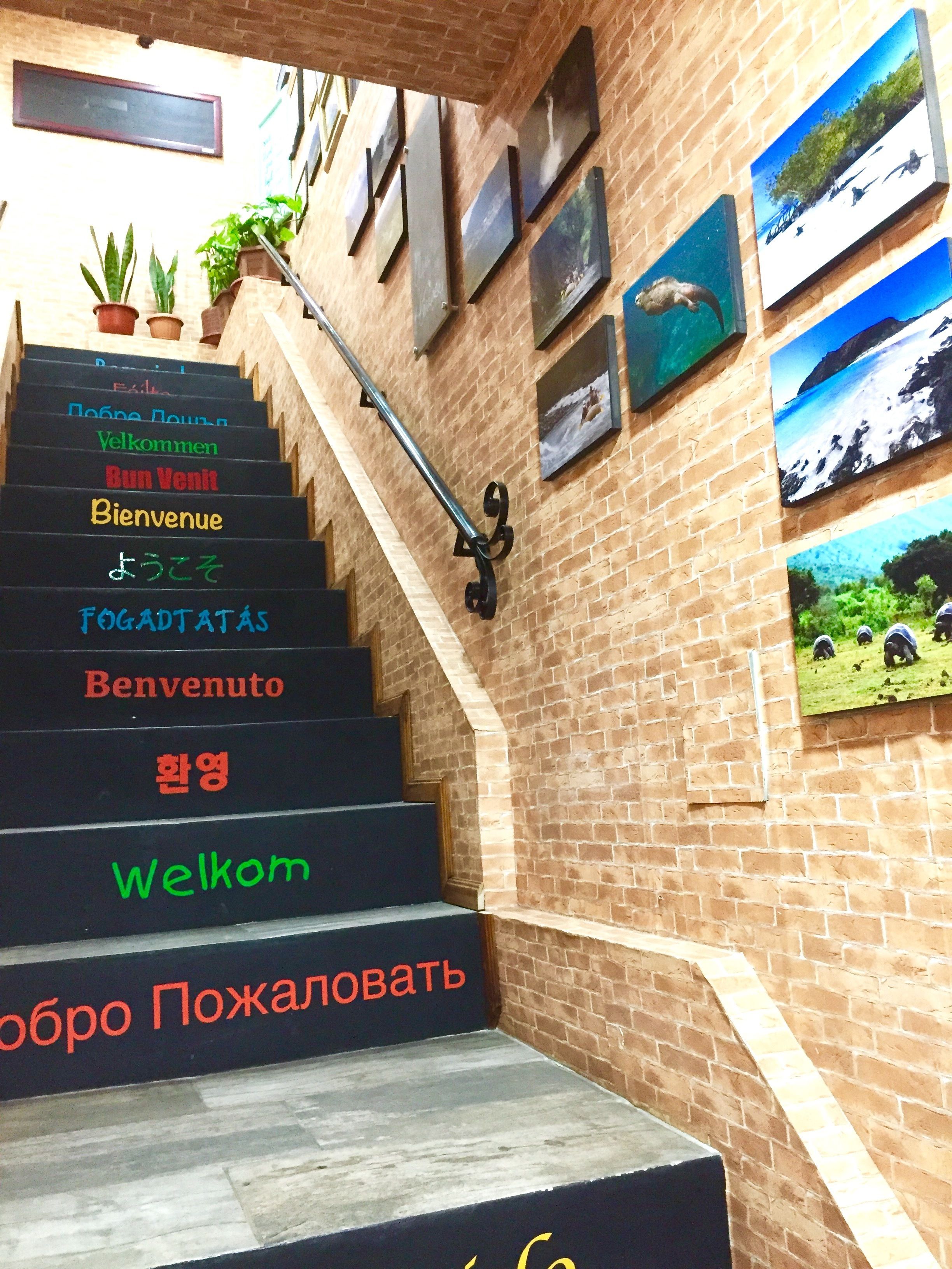 Foto - Quito Terrace