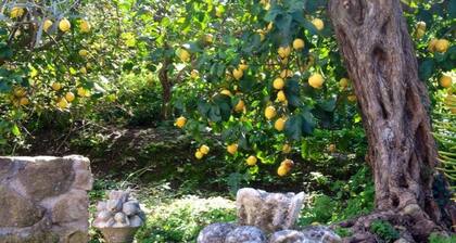 Ferien auf dem Bauernhof mit Pool in Sizilien, zwischen den Nebrodi Parks und nahe am Meer