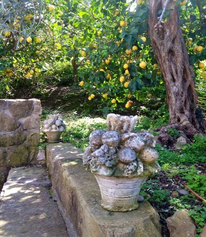 Farm holidays with pool in Sicily, among the Nebrodi's park and close to the sea