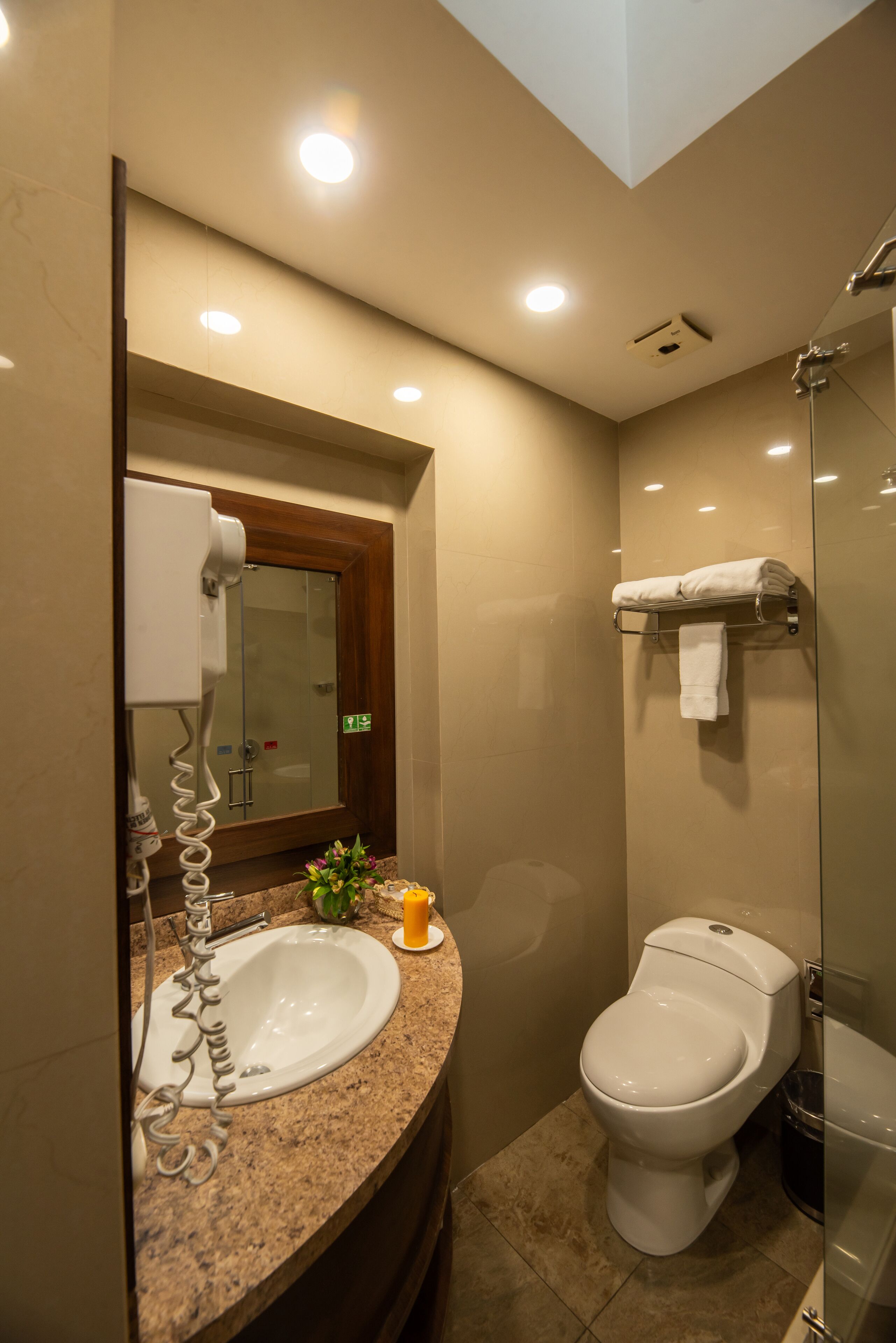 A modern bathroom with a granite countertop, a white sink, a toilet, and a glass shower enclosure.