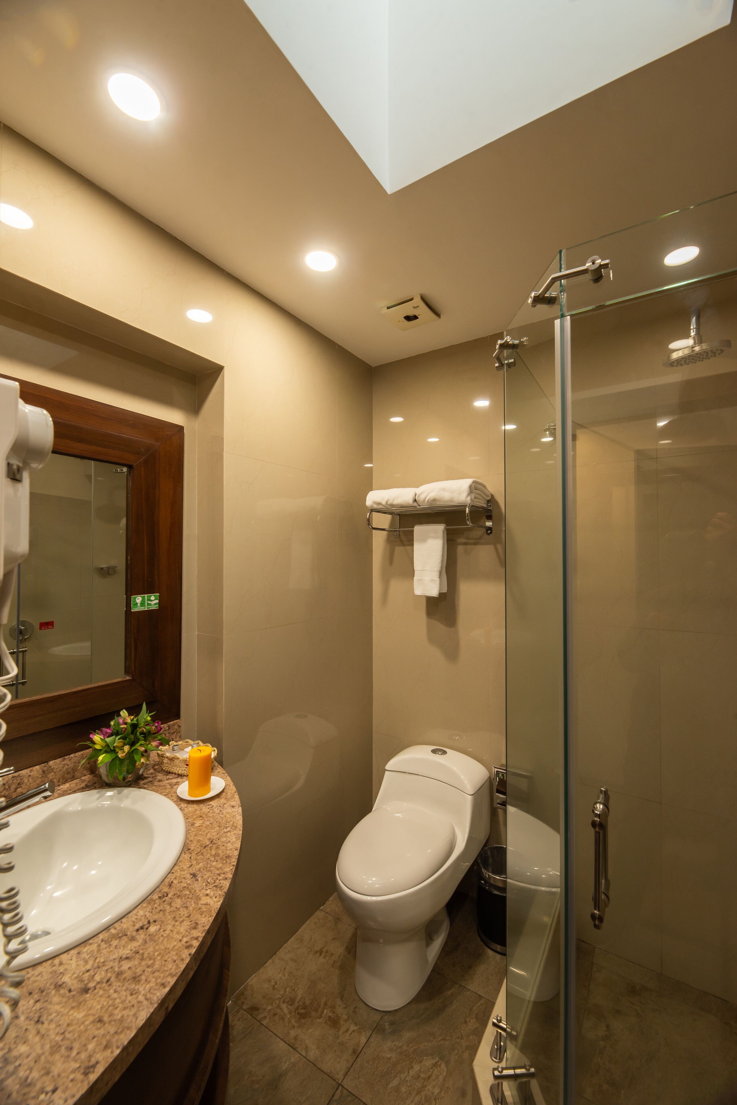 A modern bathroom with a glass shower enclosure, a white toilet, and a granite countertop with a sink.
