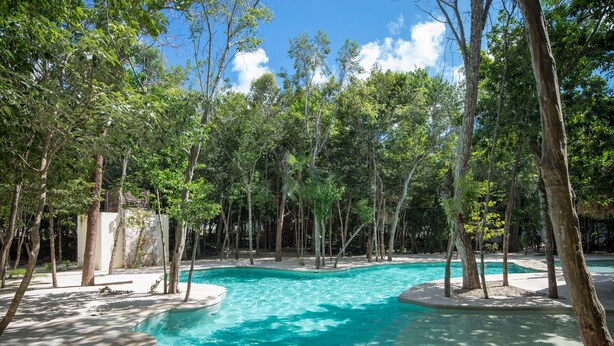 Ein klarer Pool, umgeben von Bäumen, mit einer Steinmauer und einer Sandfläche in der Nähe.