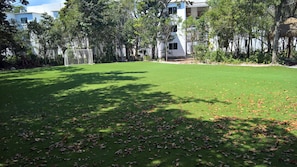 A well-maintained grassy area with scattered fallen leaves, surrounded by trees and a building with multiple windows.