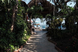 Un chemin de pierre mène à un espace piscine bordé d’une végétation tropicale luxuriante.