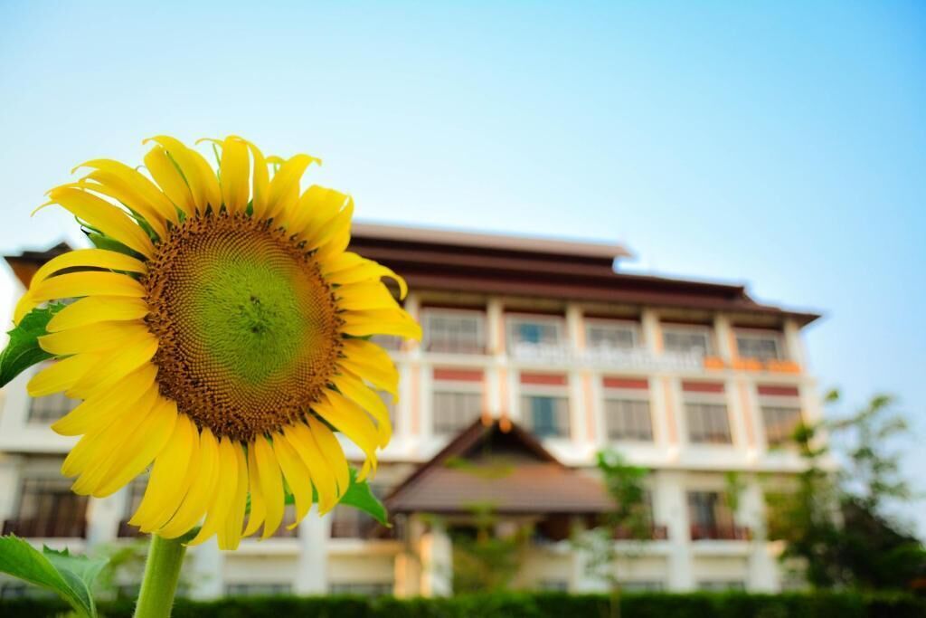 Foto - The Choice Hotel - Adults Only