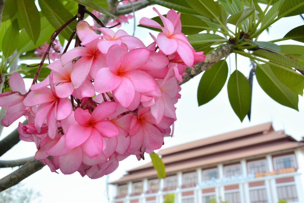 Foto - The Choice Hotel - Adults Only