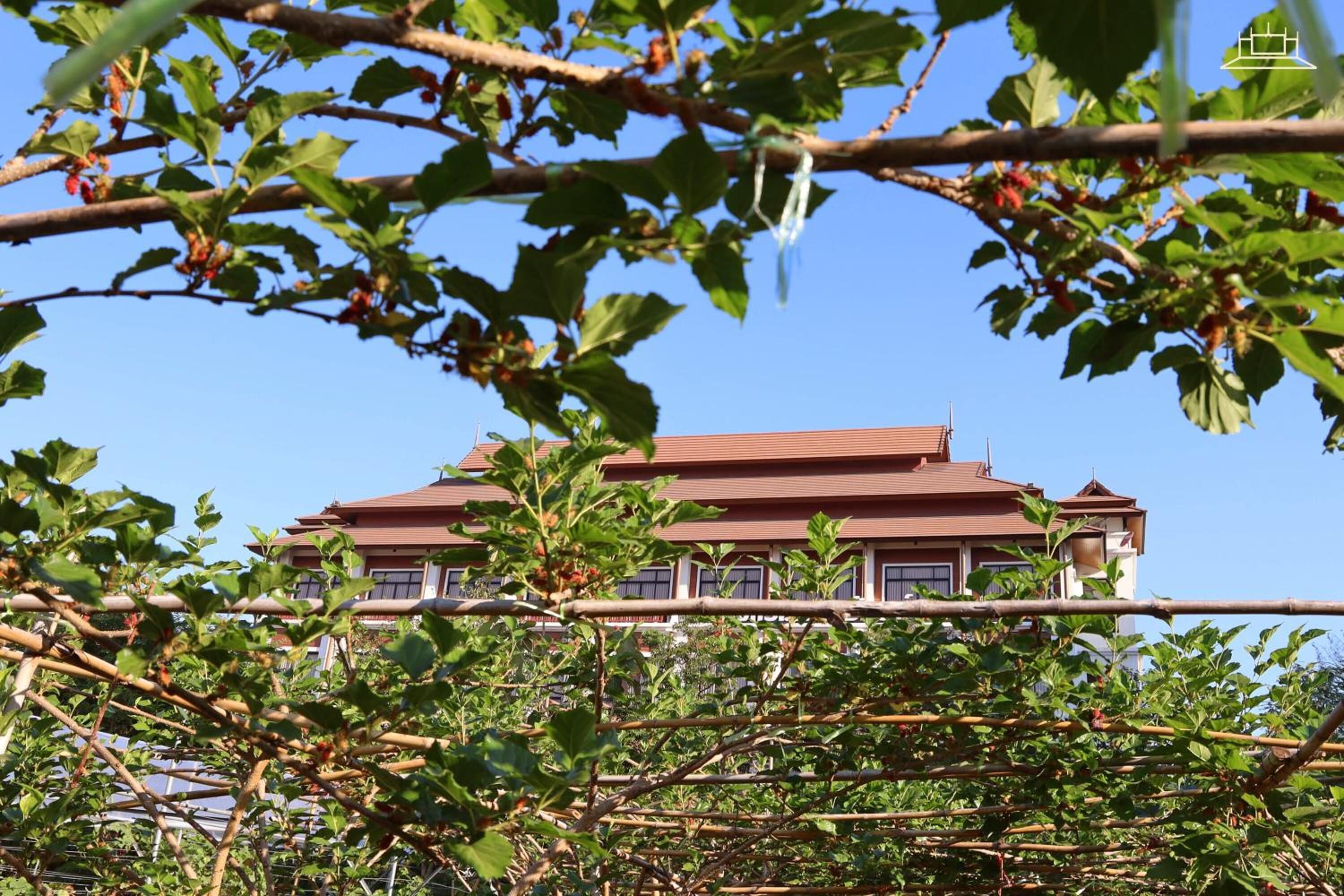 Foto - The Choice Hotel - Adults Only