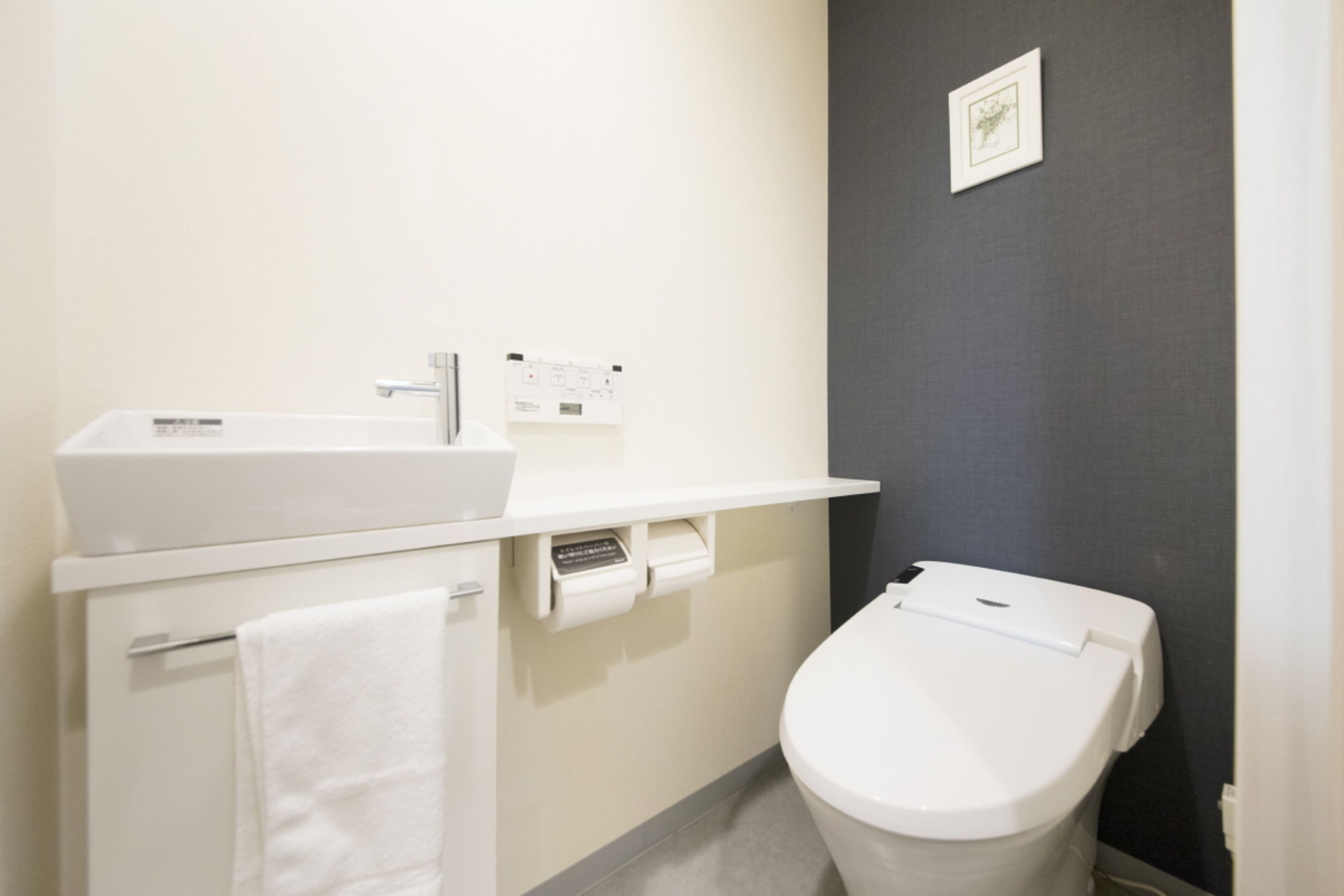 shower, hair dryer, slippers, bidet