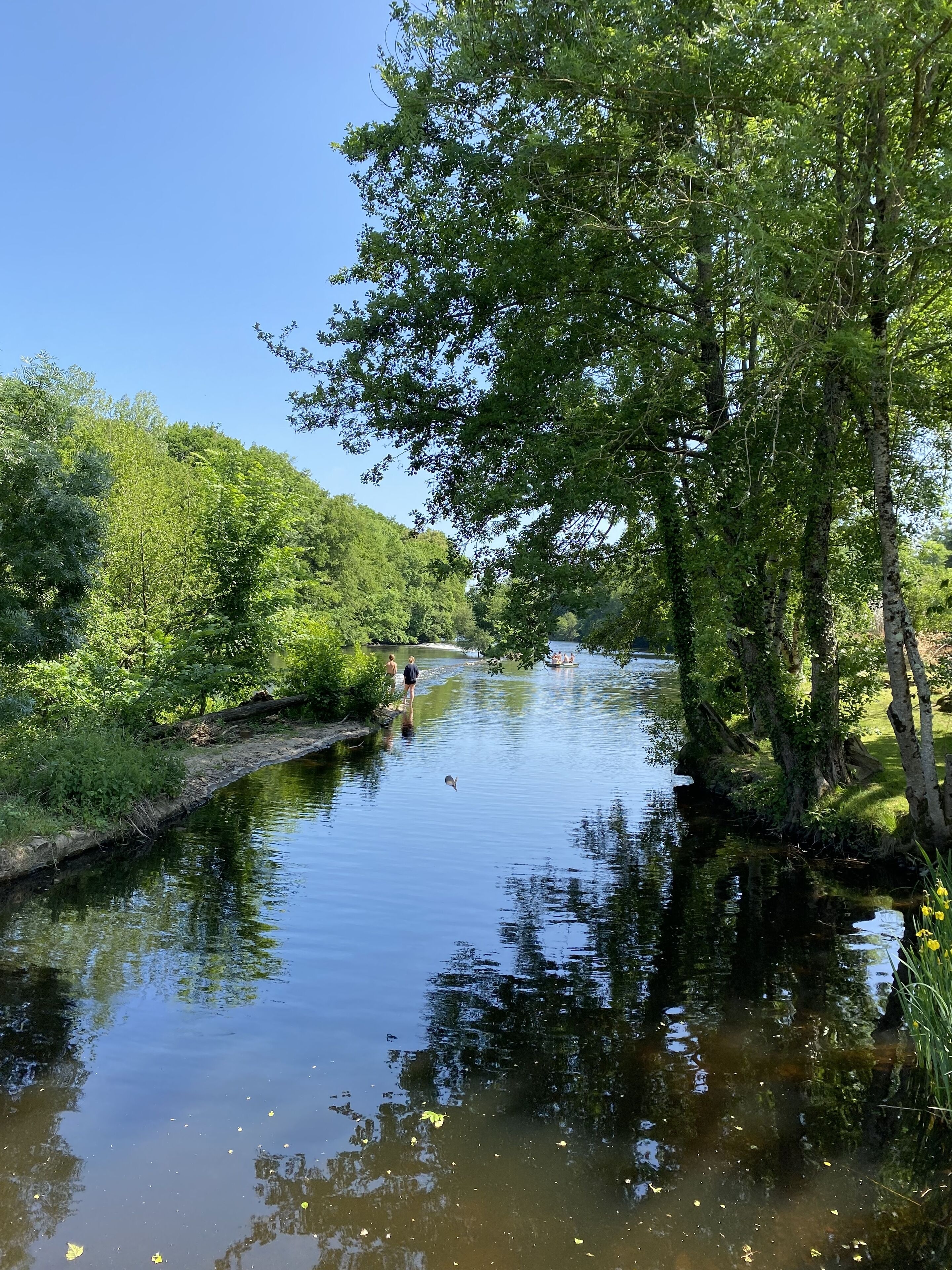 A calm river surrounded by lush greenery and trees.