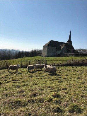 A rural landscape with a church and a fenced field with sheep. - Charming 19th century country house   all comforts, great charm   true nature. (Ceaulmont)