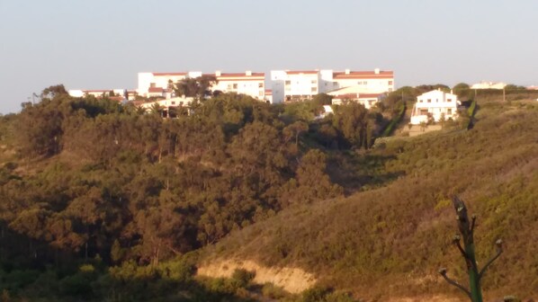 A hillside with a row of buildings, likely residential or small commercial, surrounded by dense vegetation.