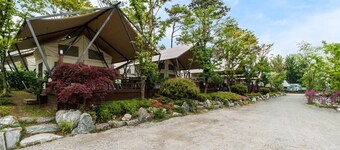 Caravan Bay Camping - Caravan Park