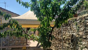A tree with green leaves in a courtyard with a stone wall and a yellow umbrella.