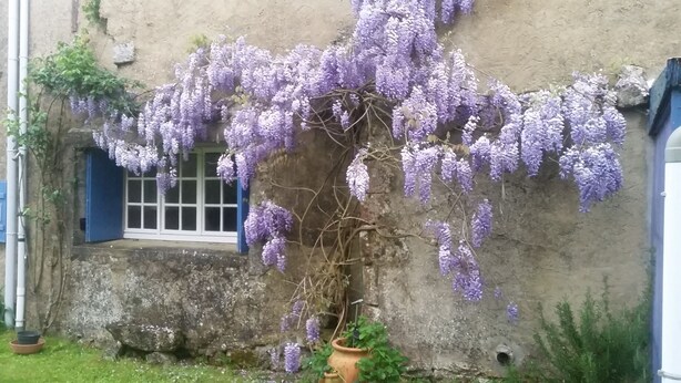 A building with a window and purple flowering vines. - Rural peaceful house close to beach, golf and  shops. House sleeps 7/9.  (Grezac)