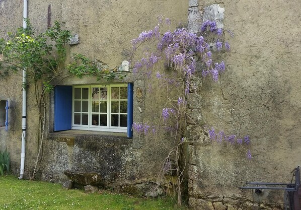 A rustic stone building with a window featuring blue shutters. - Rural peaceful house close to beach, golf and shops. House sleeps 7/9. (Grezac)