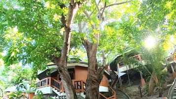 High Hill Villa | Vistas al jardín
