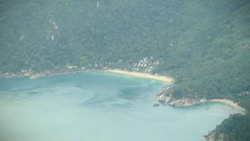A coastal landscape with a sandy beach and a forested area.