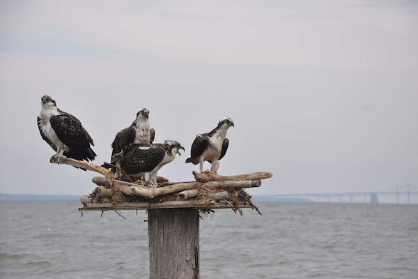 Am Strand, Liegestühle, Strandtücher