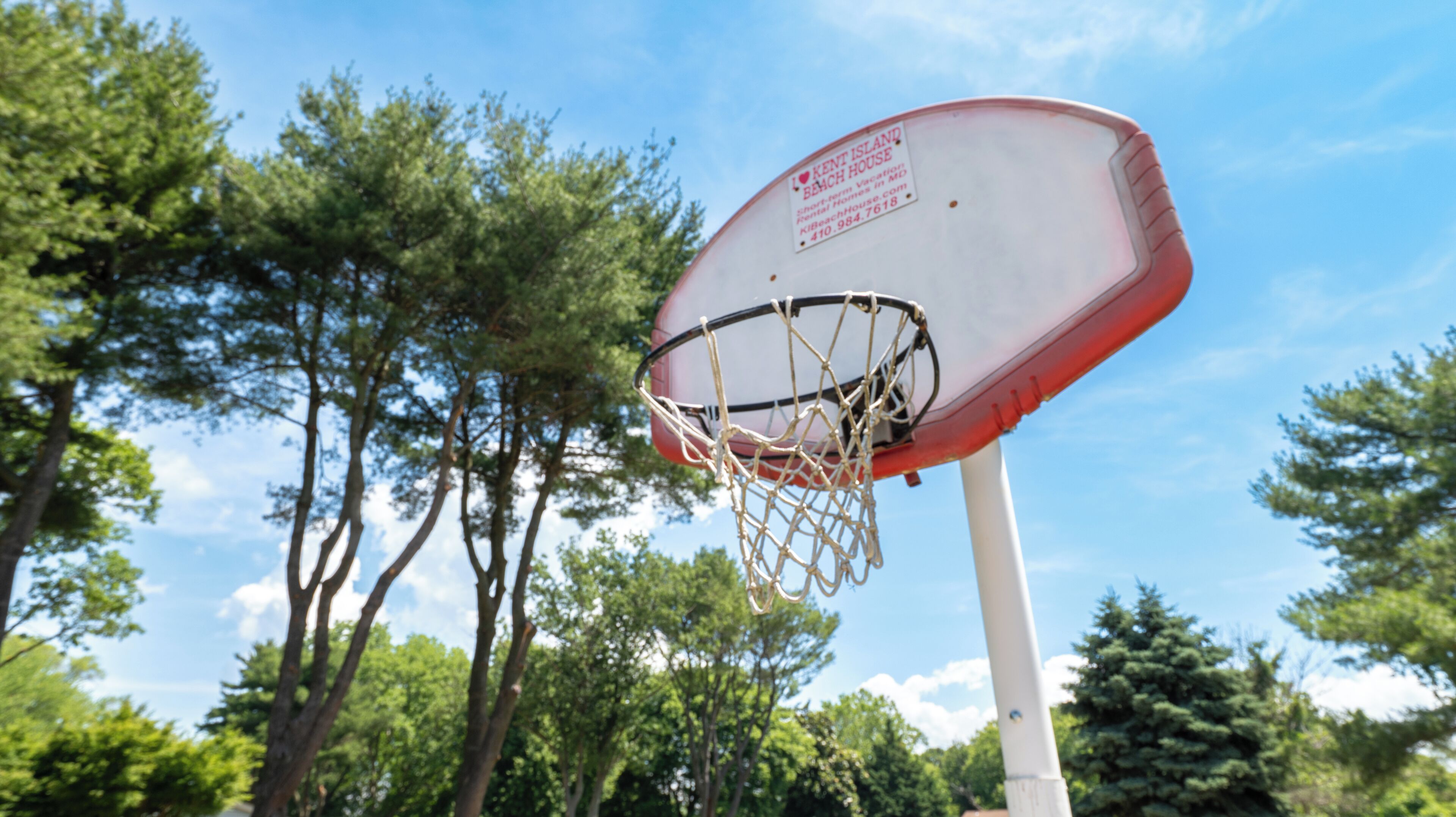 Een basketbalveld met een bord, omringd door bomen en een heldere lucht.