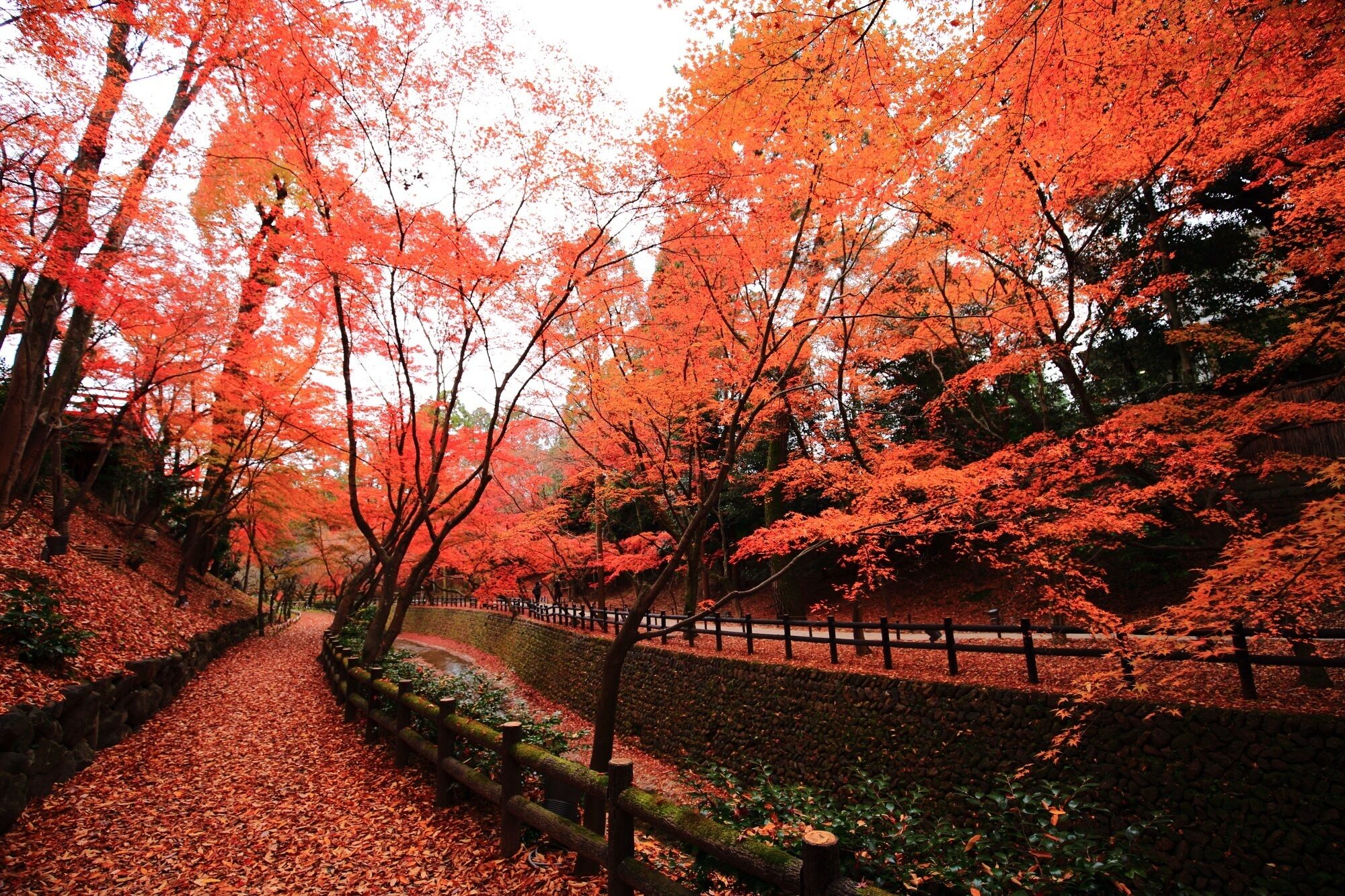 Foto - Kamishichiken Oku