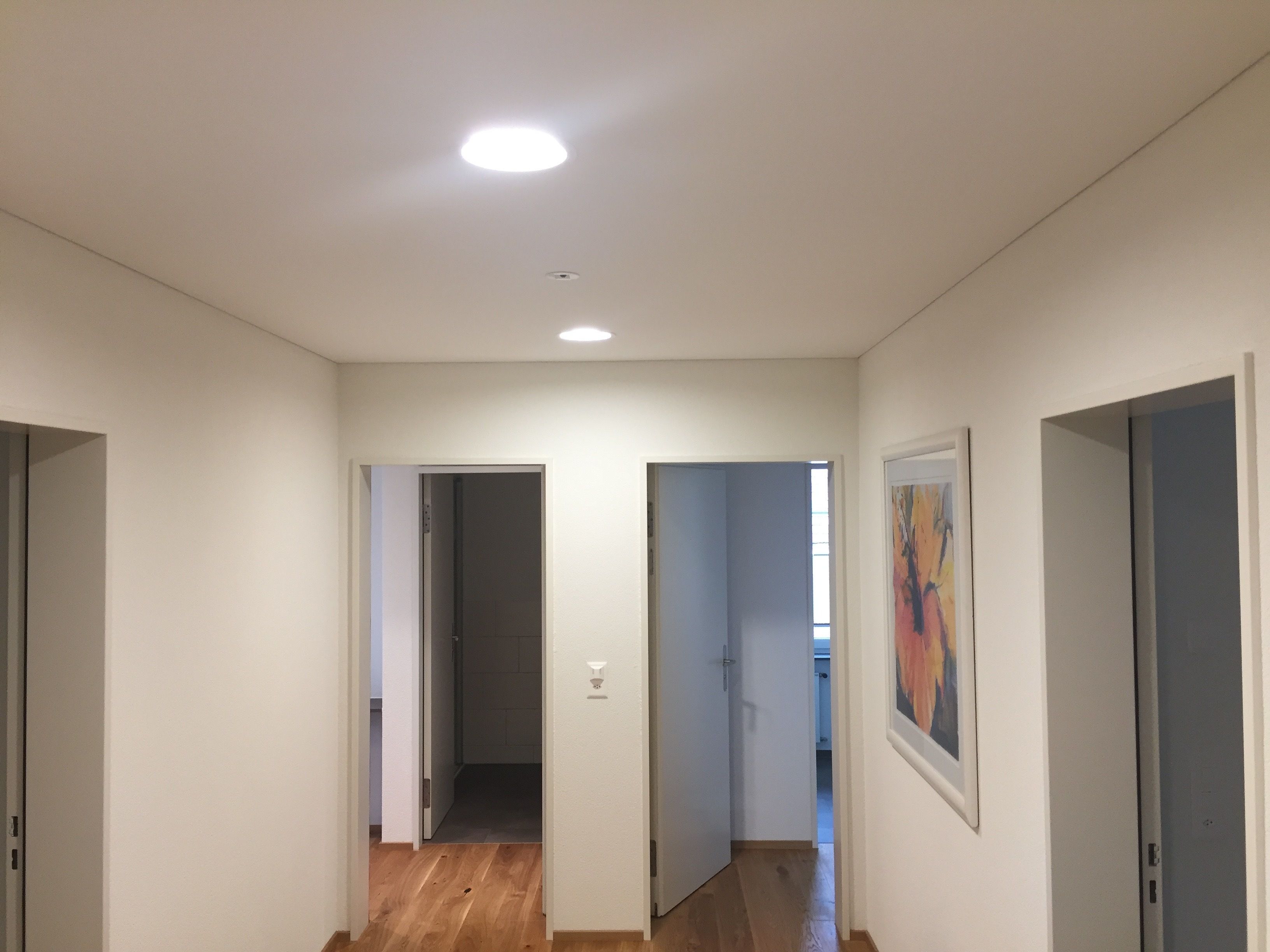 Een gang met houten vloer, witte muren en een plafondlamp. Links zijn er drie deuren, rechts één deur, en een ingelijst kunstwerk op de rechtermuur.