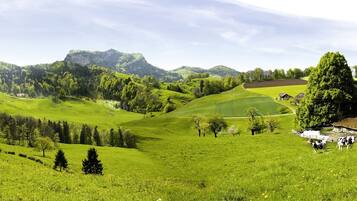 A rural landscape with rolling green hills, a farmhouse, and grazing cows.