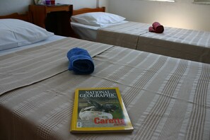 Appartement « Premier », cuisine, vue montagne
